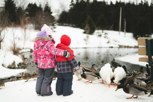 Como vestir as crianças para o inverno na Estônia